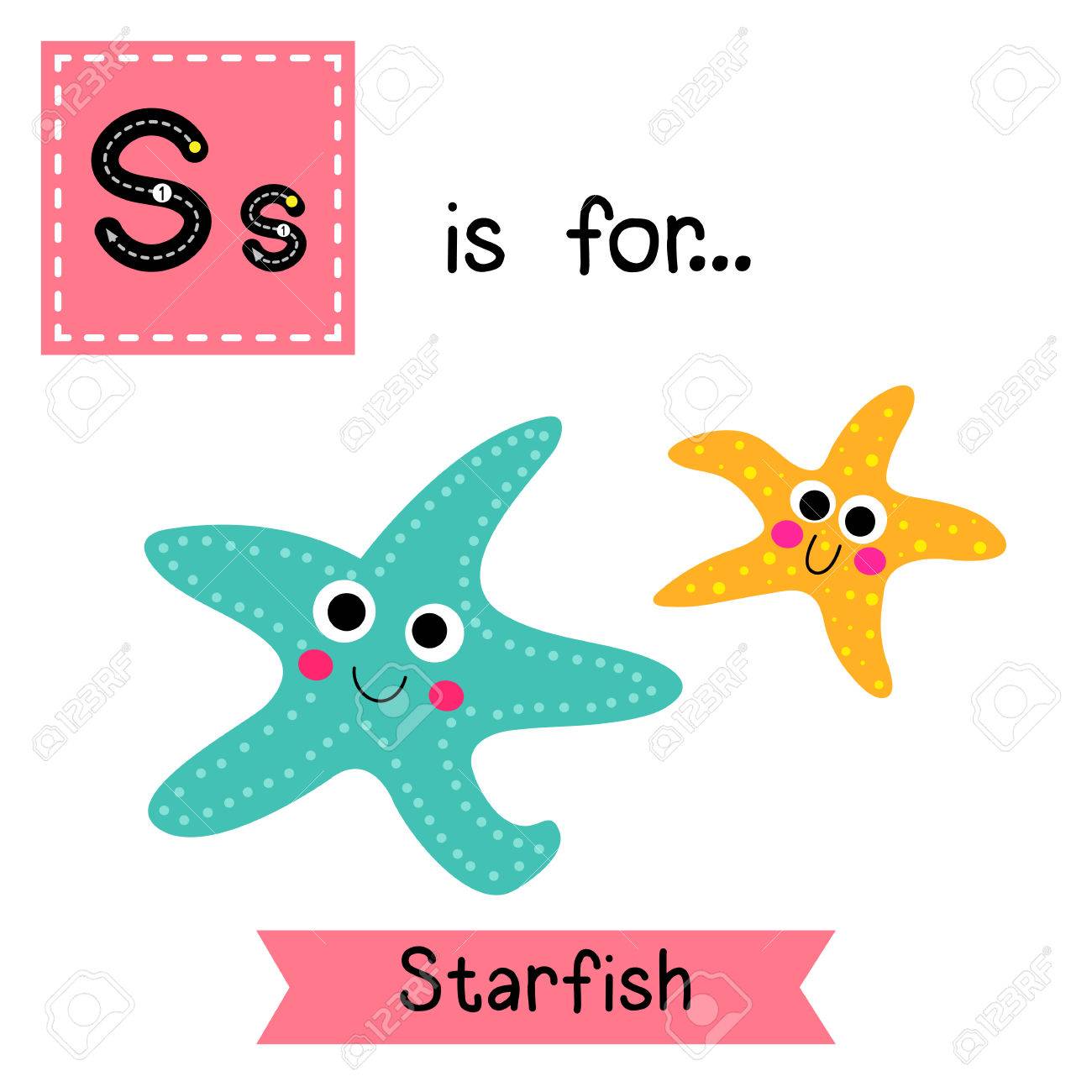 Traçage De Lettres S étoile De Mer Souriante Carte Amusante Dalphabet De Zoo Pour Enfants Mignons Animal De Dessin Animé Drôle éducation Des