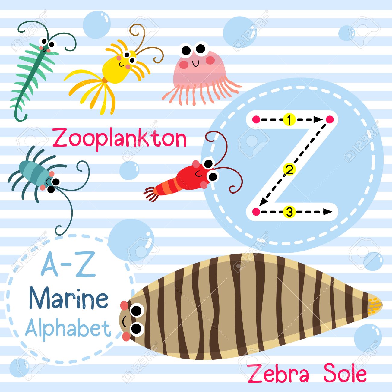 Z 文字のトレース 動物プランクトン ゼブラのソール かわいい子供たち海海洋アルファベット フラッシュ カード 面白い漫画の動物 Abc 教育を子供たちには 英語の語彙を学習します イラスト のイラスト素材 ベクタ Image