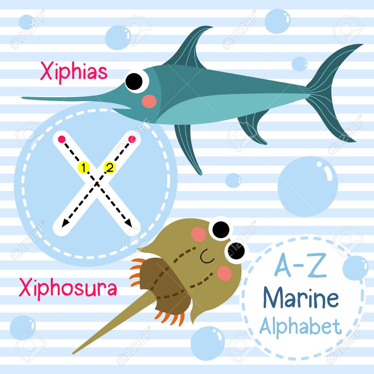 文字トレース X Xiphias Xiphosura かわいい子供たち海海洋アルファベット フラッシュ カード 面白い漫画の動物 Abc 教育を子供たちには 英語の語彙を学習します イラスト のイラスト素材 ベクタ Image 文字トレース X Xiphias Xiphosura かわいい子供たち海海洋アルファベット フラッシュ カード 面白い漫画の動物 Abc 教育を子供たちには 英語の語彙を学習します イラスト のイラスト素材 ベクタ Image