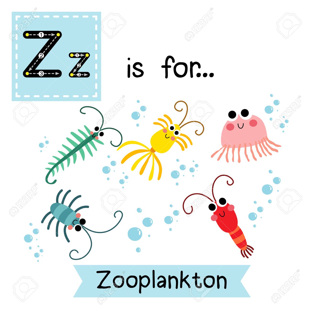 Z 文字のトレース 動物プランクトン かわいい子供動物園アルファベット フラッシュ カード 面白い漫画の動物 Abc 教育を子供たちには 英語の語彙を学習します イラスト のイラスト素材 ベクタ Image