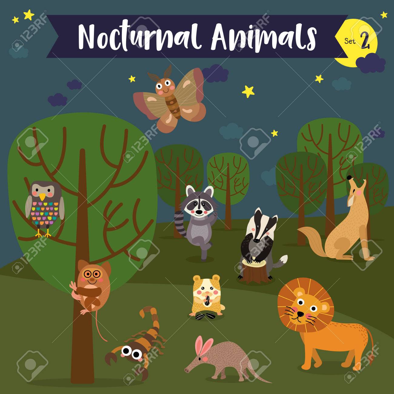 夜行動物