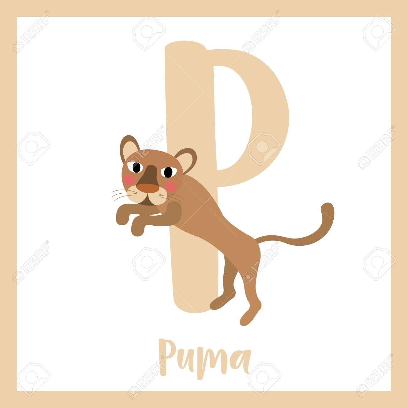 puma p