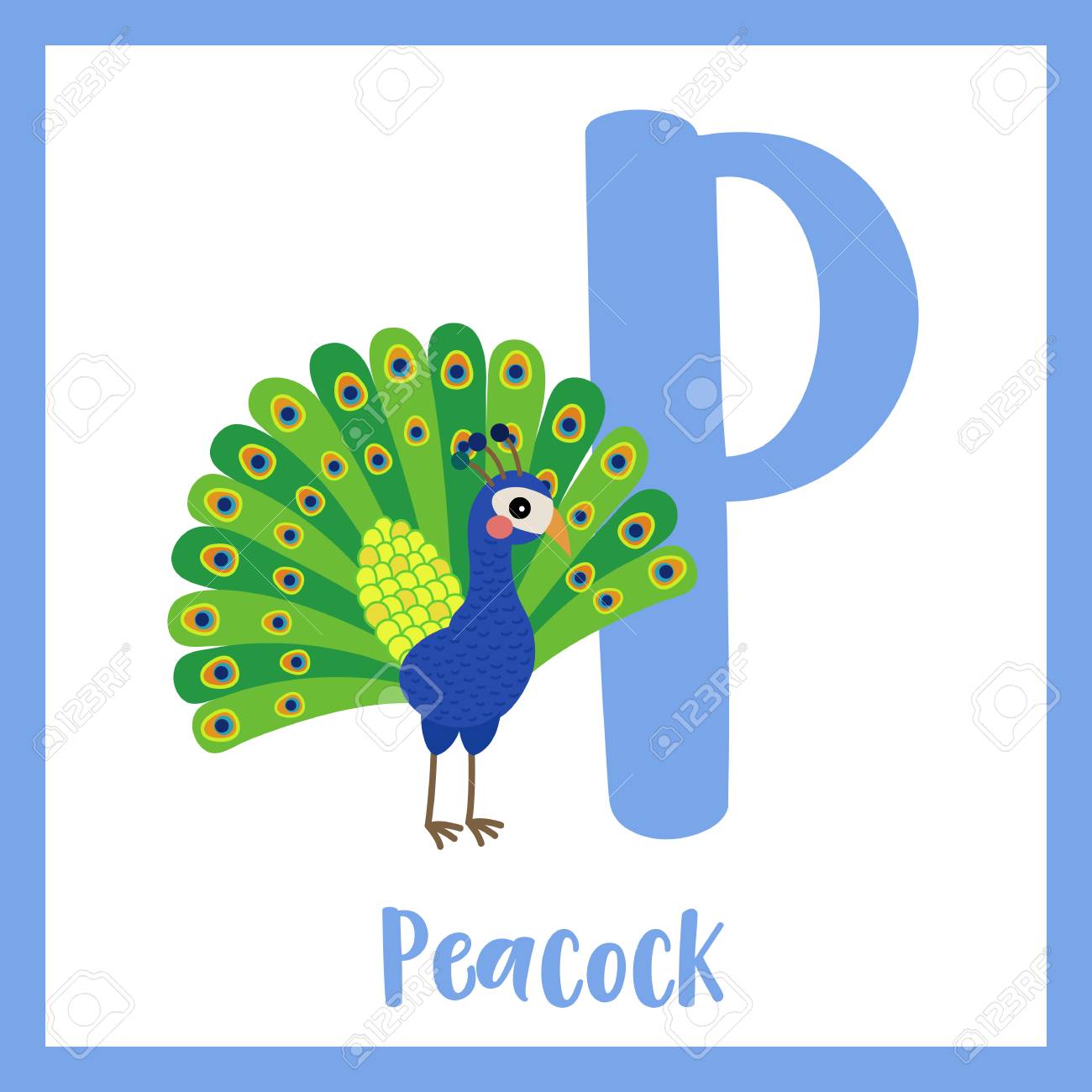 P Letter Vocabulary. Peacock. Cute Children ABC Zoo Alphabet Flash Card. Funny Cartoon Animal. Kids Abc Education. Learning English Vocabulary. Vector Illustration. Royalty Free SVG, Cliparts, Vectors, And Stock Illustration. Image 73324877. P Letter Vocabulary. Peacock. Cute Children ABC Zoo Alphabet Flash Card. Funny Cartoon Animal. Kids Abc Education. Learning English Vocabulary. Vector Illustration. Royalty Free SVG, Cliparts, Vectors, And Stock Illustration. Image 73324877.