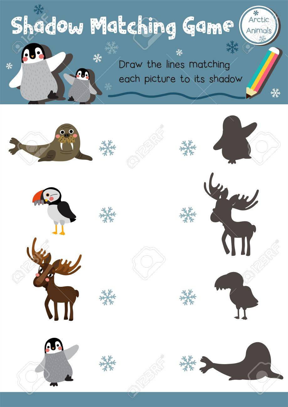 Shadow Matching Game Of Arctic Animals For Preschool Kids Activity Worksheet Layout In A4 Colorful Printable Version. Royalty Free SVG, Cliparts, Vectors, and Stock Illustration. Image 75010692. for Free Printable Arctic Animals Worksheets