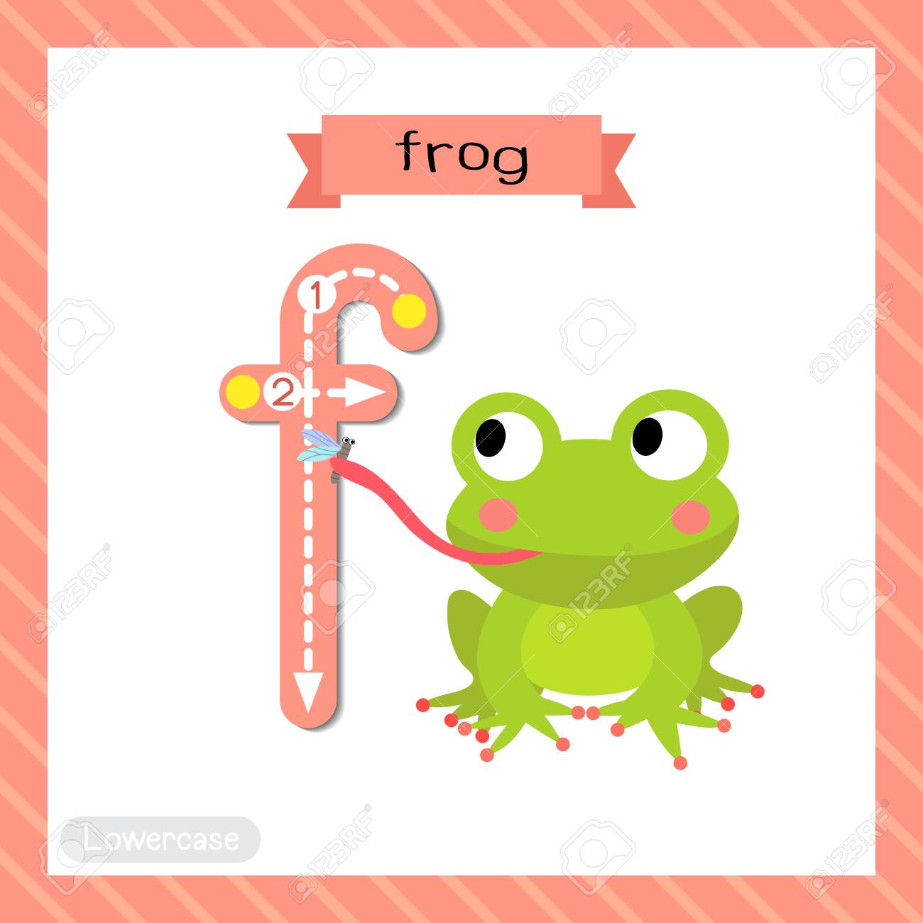 letter f lowercase cute children colorful zoo and animals abc animals with the letter f