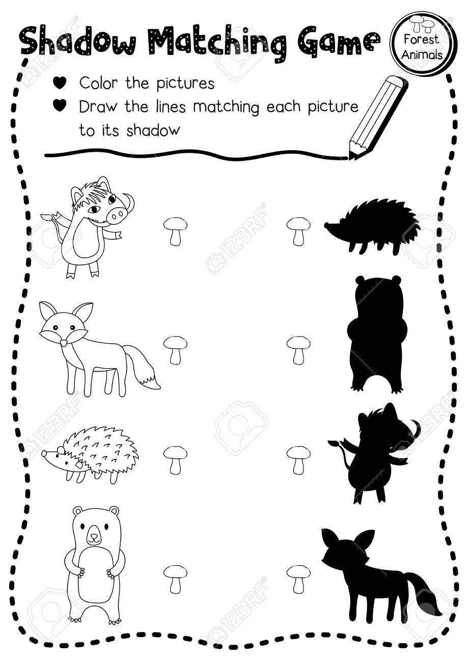 Shadow matching sport of forest pets for preschool children match.. picture regarding Free Printable Forest Animal Silhouettes titled Shadow matching activity of forest pets for preschool small children game..