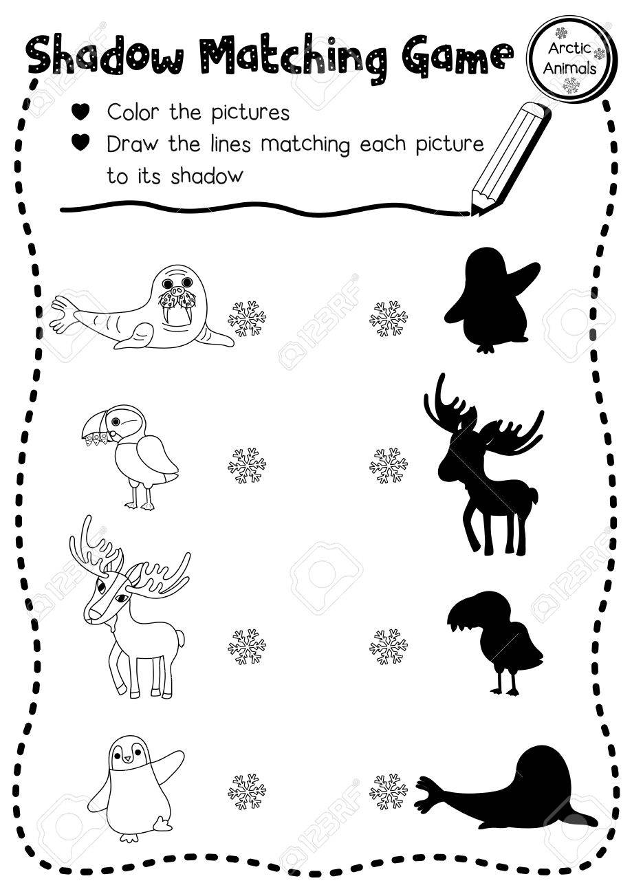 shadow matching game of arctic animals for preschool kids activity worksheet layout in a4 coloring printable - Animal Worksheets For Preschoolers shadow matching game of arctic animals for preschool kids activity worksheet layout in a4 coloring printable - Animal Worksheets For Preschoolers