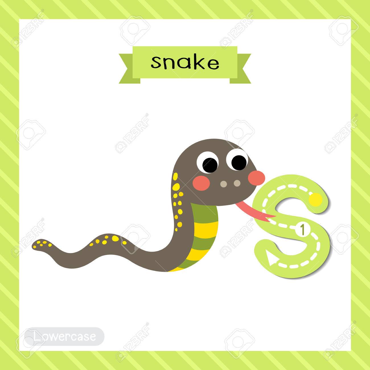 letter s lowercase cute children colorful zoo and animals abc animals with letter s