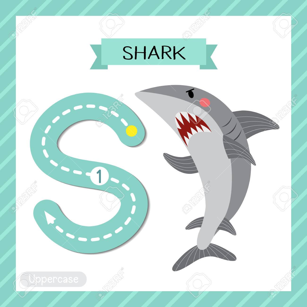 letter s uppercase cute children colorful zoo and animals abc animals with letter s
