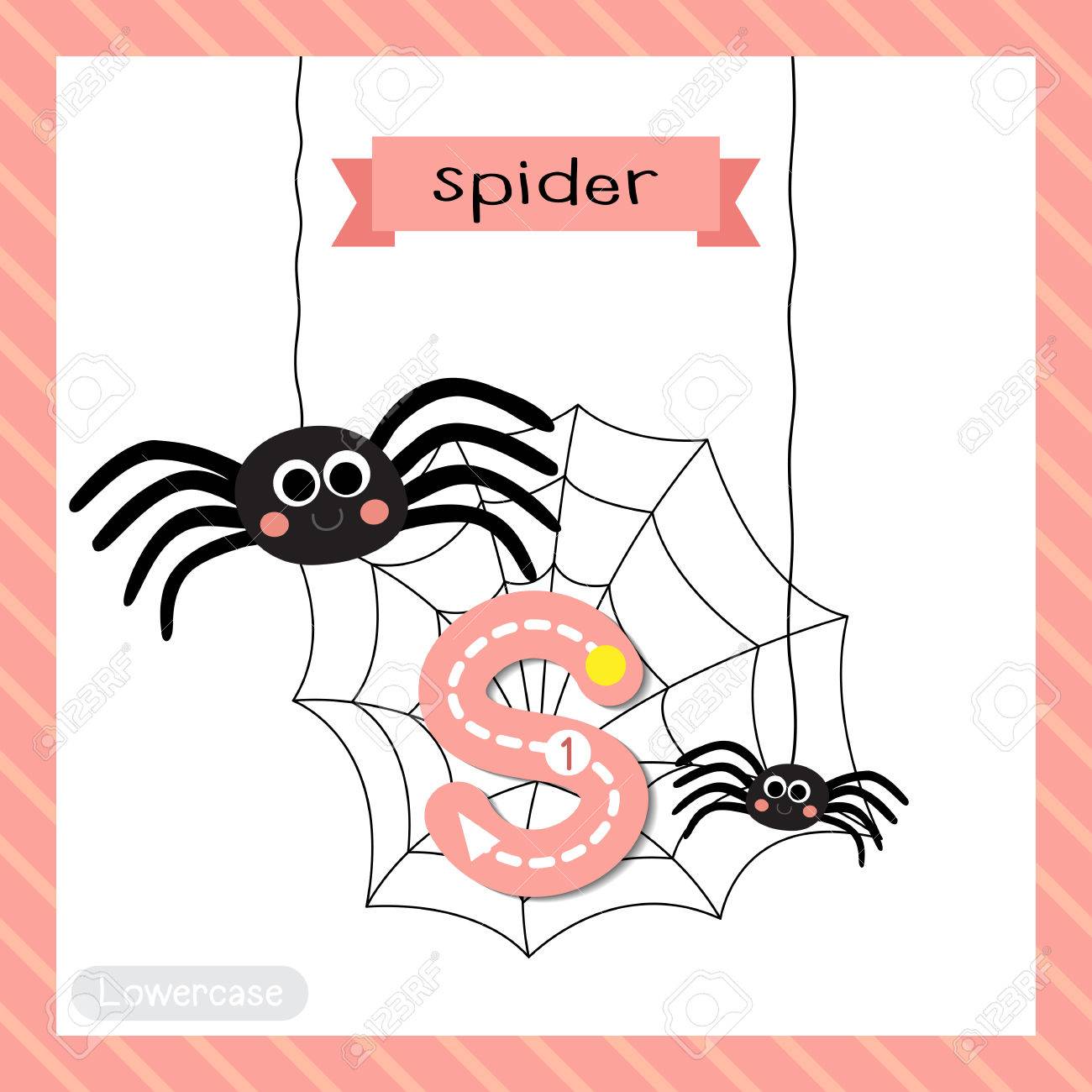 letter s lowercase cute children colorful zoo and animals abc animals with letter s