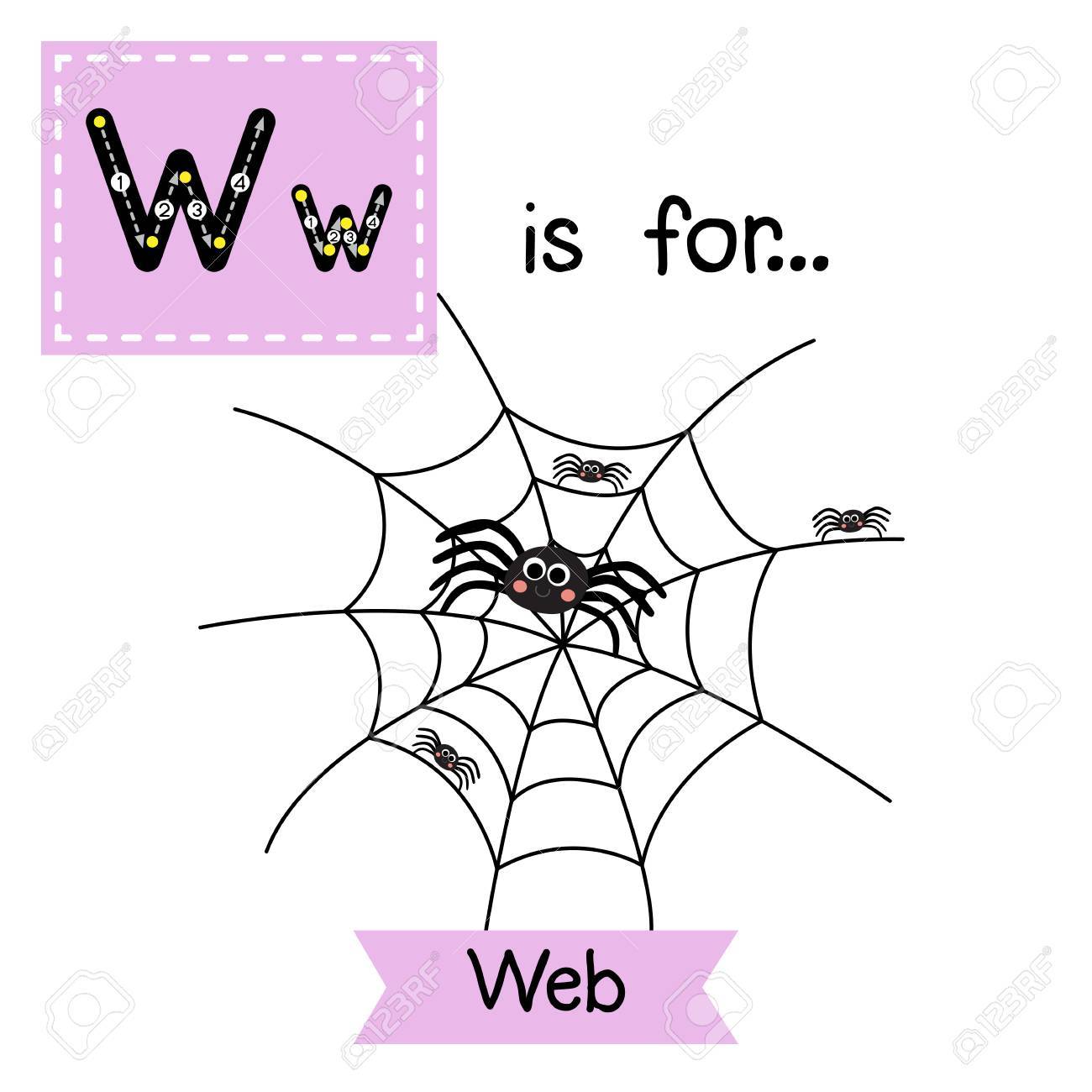 かわいい子供たち Abc アルファベット W 手紙トレース フラッシュ カード スパイダー Web 幸せなハロウィーンの日のテーマで英語の語彙を学ぶ子供のための のイラスト素材 ベクタ Image