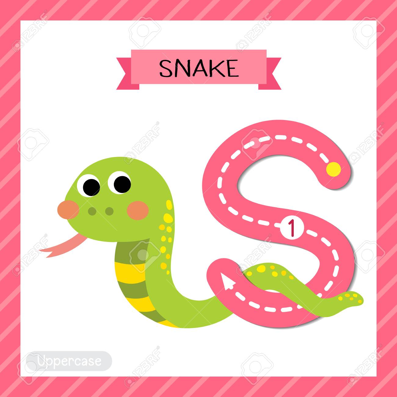 letter s uppercase cute children colorful zoo and animals abc animals with letter s