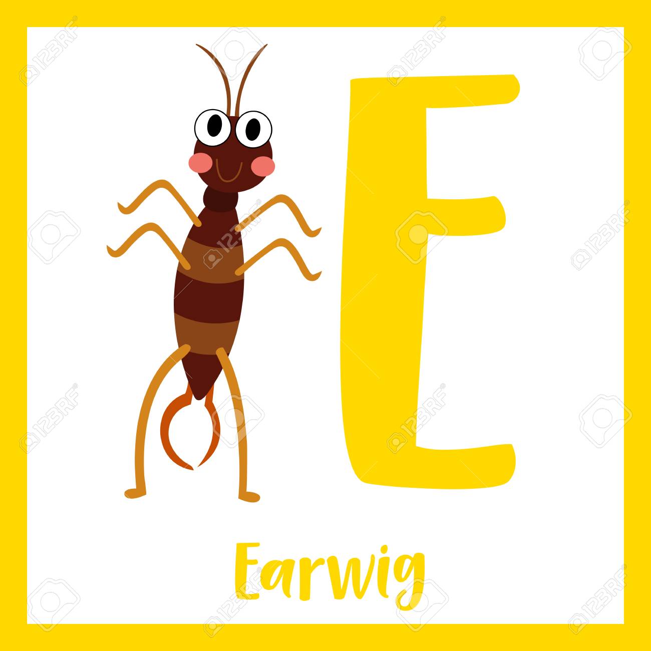 cute children abc animal zoo alphabet e letter flashcard of earwig letter flash card