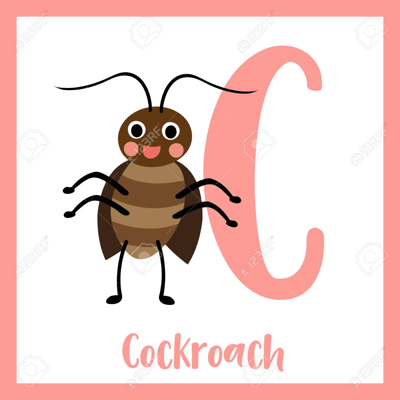 Cute Children Abc Animal Zoo Alphabet C Letter Flashcard Of Happy Standing Cockroach For Kids Learning English Vocabulary Vector Illustration Royalty Free Cliparts Vectors And Stock Illustration Image