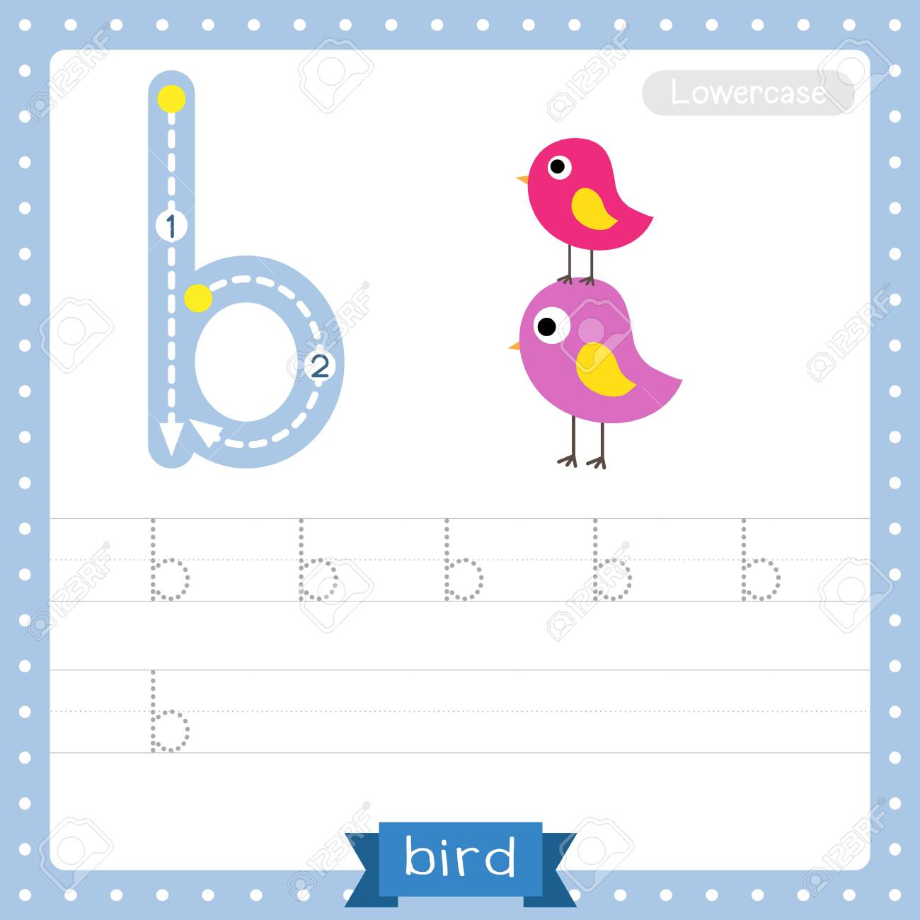 letter b lowercase cute children colorful zoo and animals abc alphabet tracing practice worksheet of colorful bird for kids learning english vocabulary and handwriting vector illustration royalty free svg cliparts vectors and