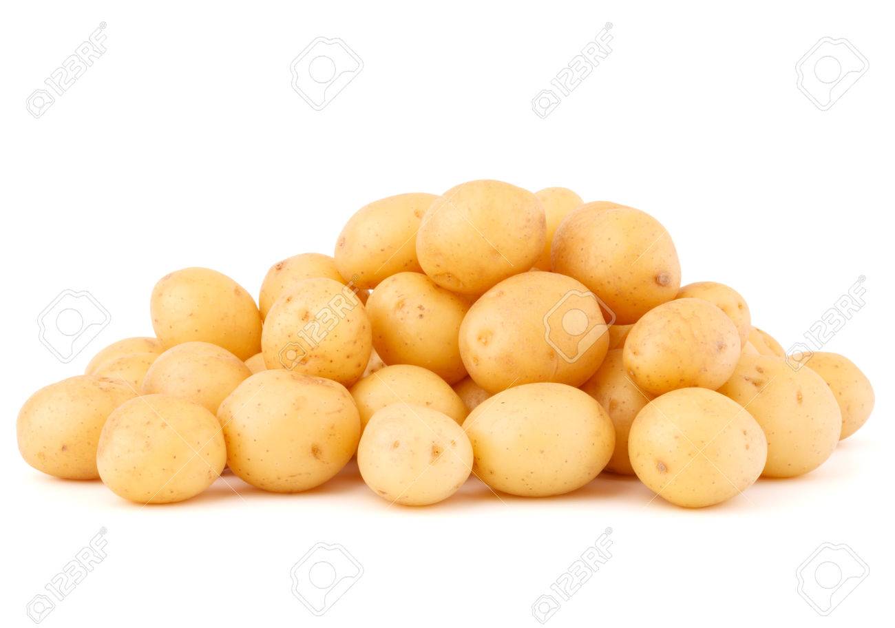 new potato tuber isolated on white background cutout - 36001200 new potato tuber isolated on white background cutout - 36001200