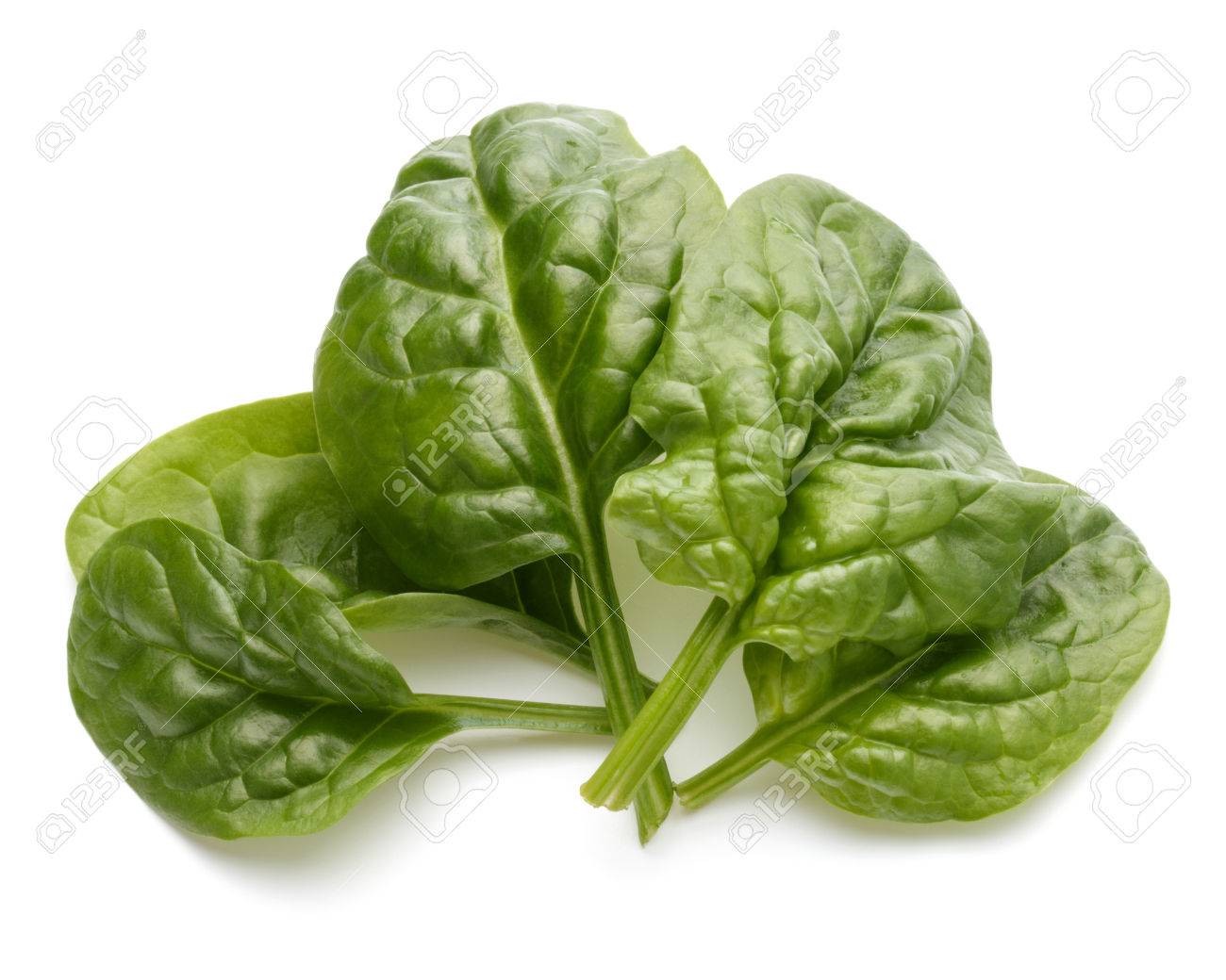 Baby spinach leaves isolated on white background cutout - 52252328 Baby spinach leaves isolated on white background cutout - 52252328