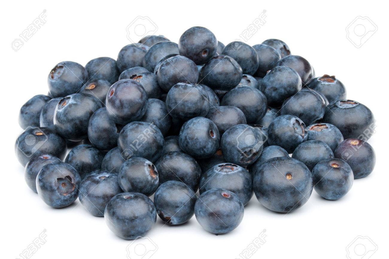blueberry or bilberry or