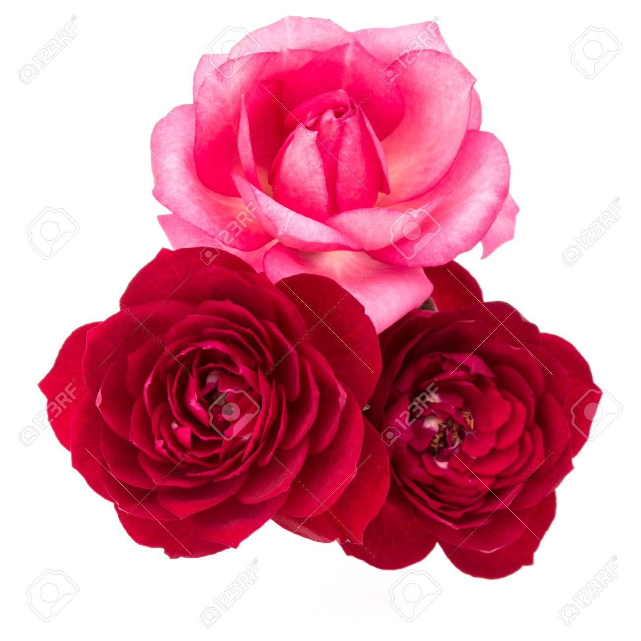 Bouquet De Fleurs Rose Rouge Et Rose Isolé Sur Fond Blanc Découpe