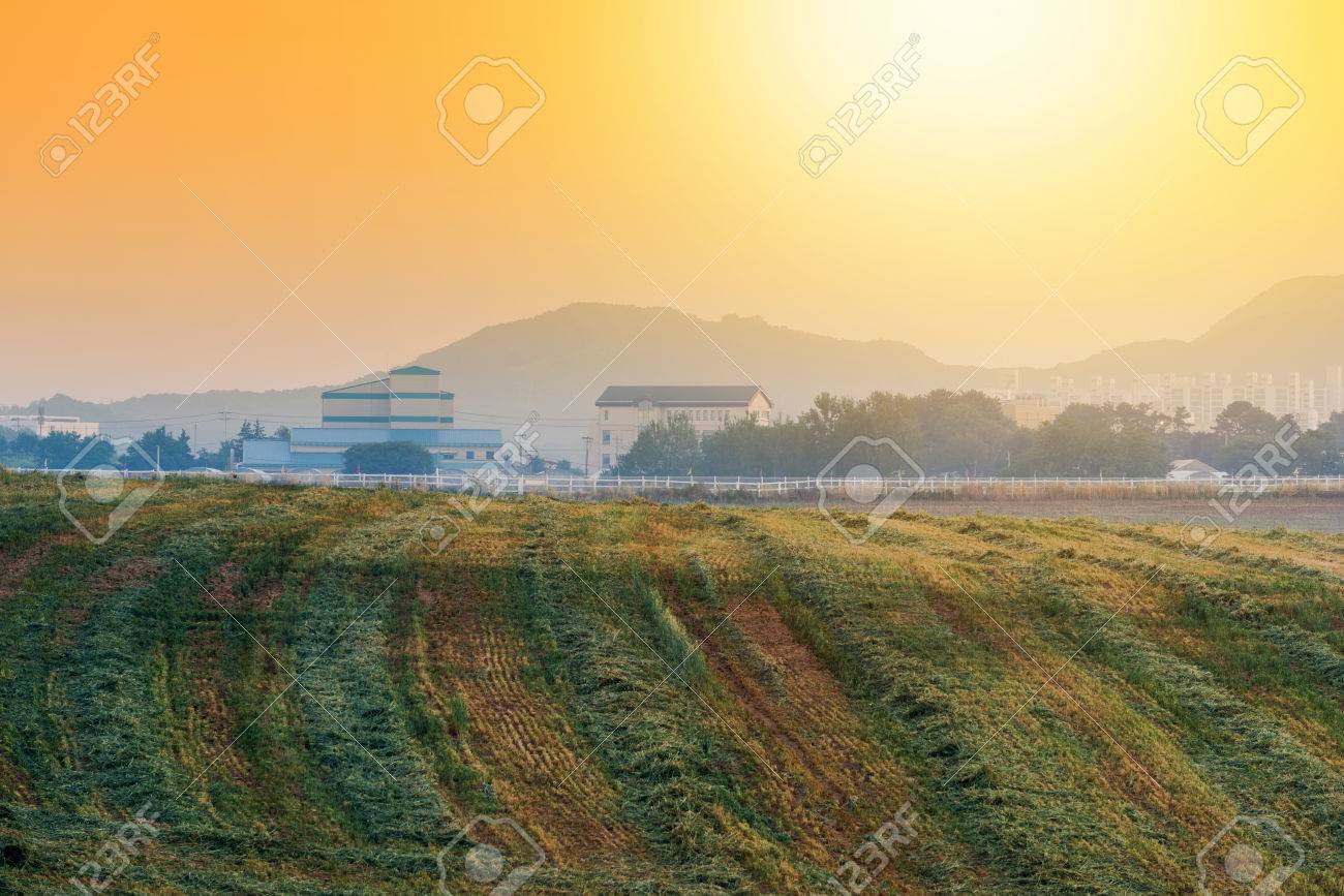 韓国の田舎の農家の日の出 安城農地韓国 の写真素材 画像素材 Image