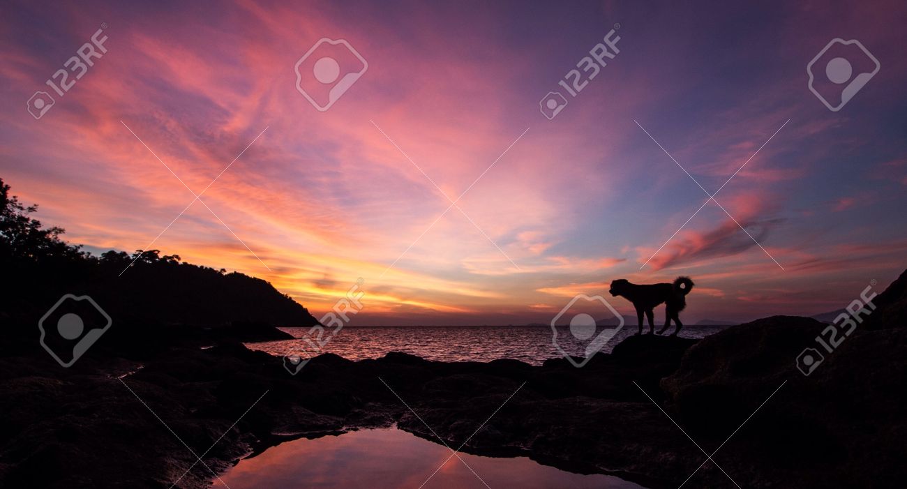 etiam-dictum-ipsum-a-felis