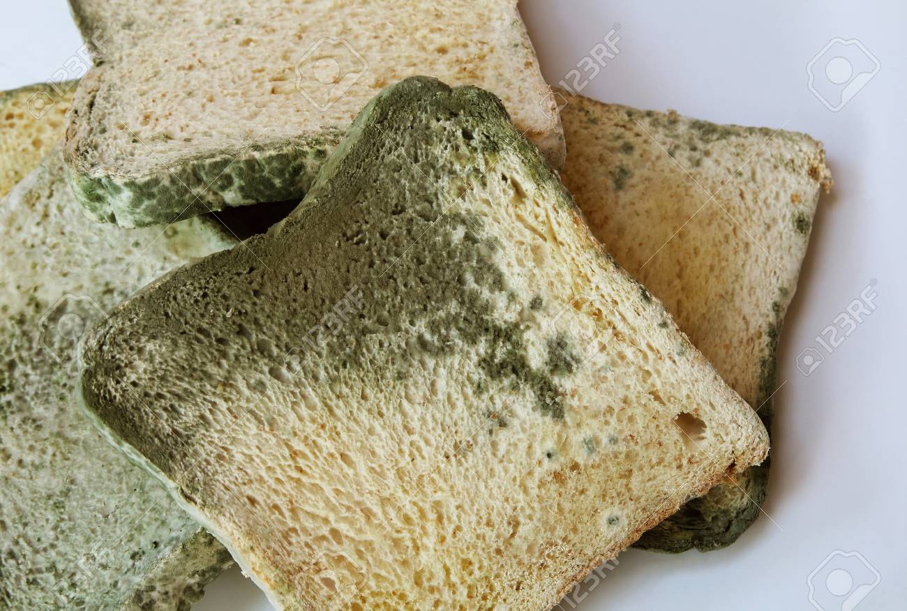 Moldy On Bread On White Background Inedible Food And Expired Stock Photo Picture And Royalty Free Image Image