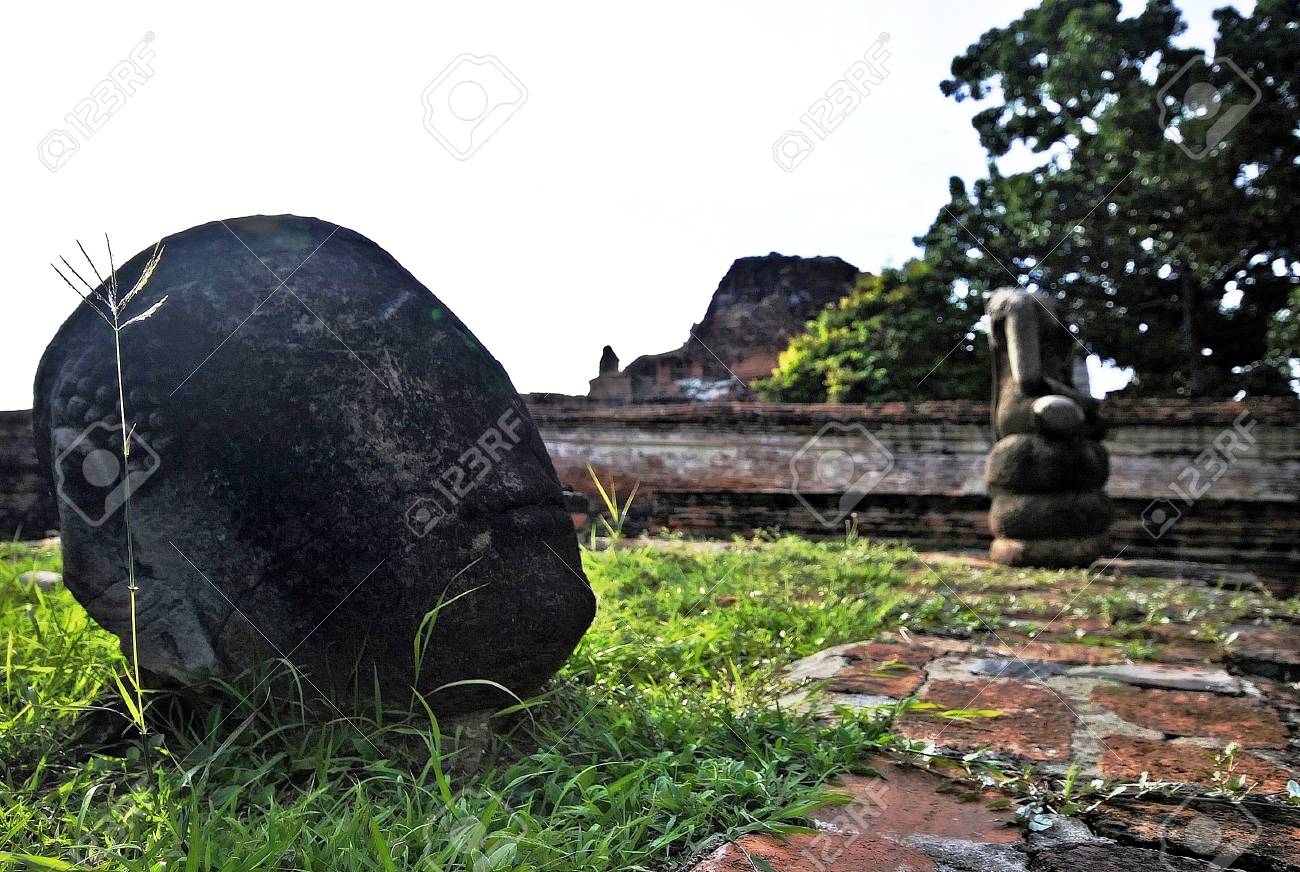 etiam-dictum-ipsum-a-felis