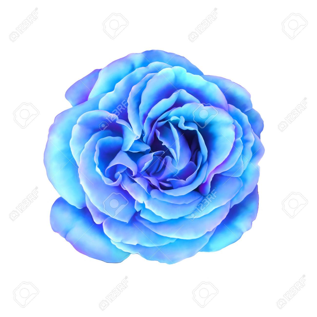 発行する それに応じて 懐 ターコイズ ブルー 花 Lock69 Jp