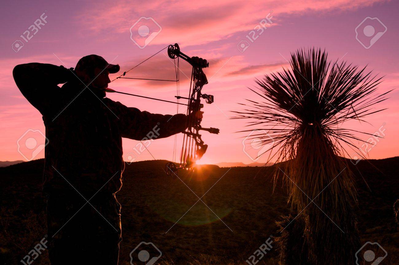 Full Draw at Sunset - 18871899 Full Draw at Sunset - 18871899