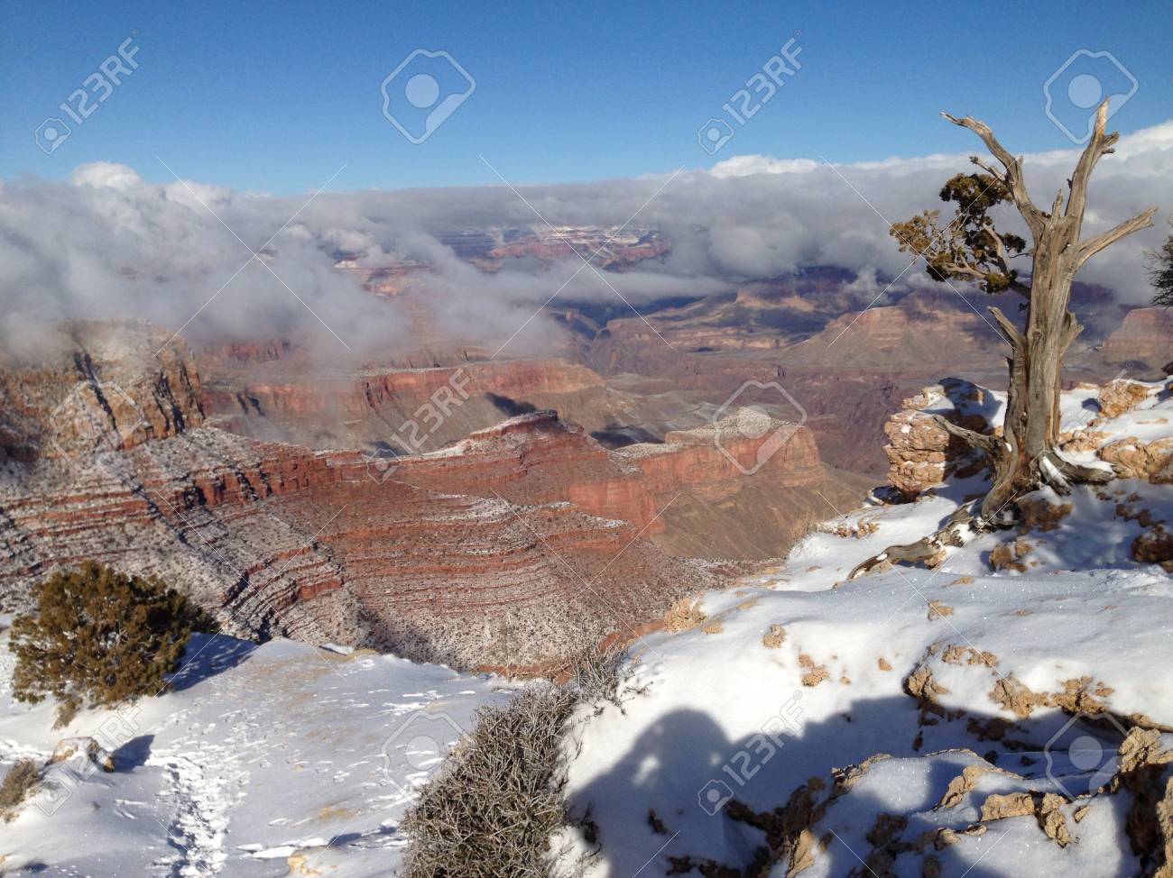 グランドキャニオンの雪 の写真素材 画像素材 Image