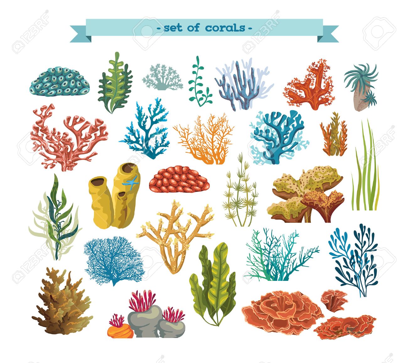 Set of isolated colorful corals and algaes on a white background. Vector underwater flora and fauna. - 49360593 Set of isolated colorful corals and algaes on a white background. Vector underwater flora and fauna. - 49360593