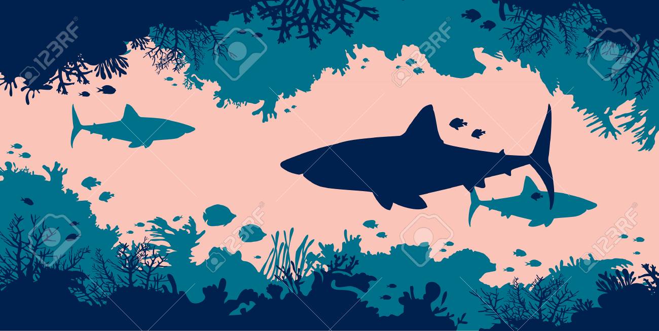 Underwater Nature And Marine Wildlife Silhouette Of Big Sharks Royalty Free Cliparts Vectors And Stock Illustration Image