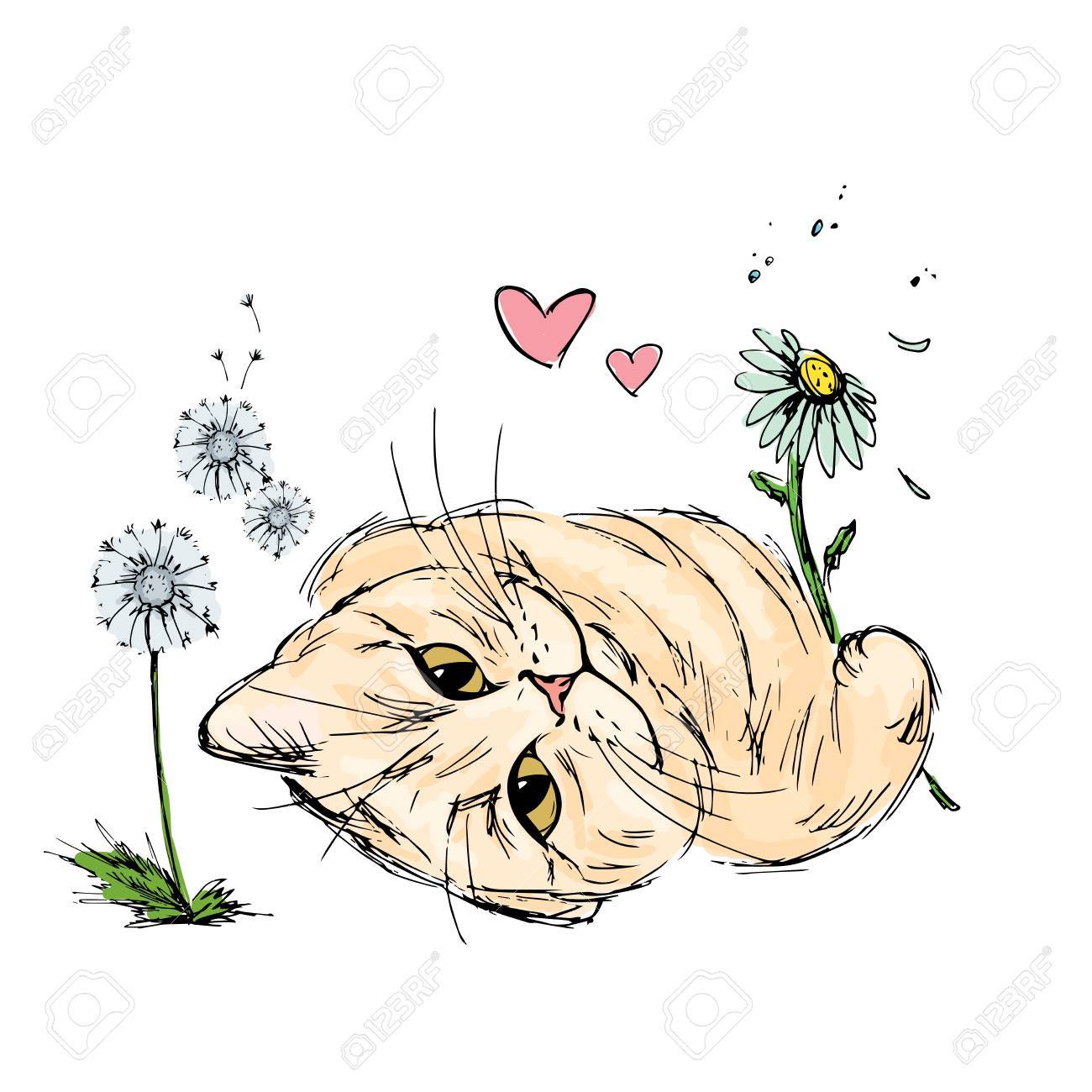動物の画像について 新鮮な猫手 イラスト 動物の画像について 新鮮な猫手 イラスト