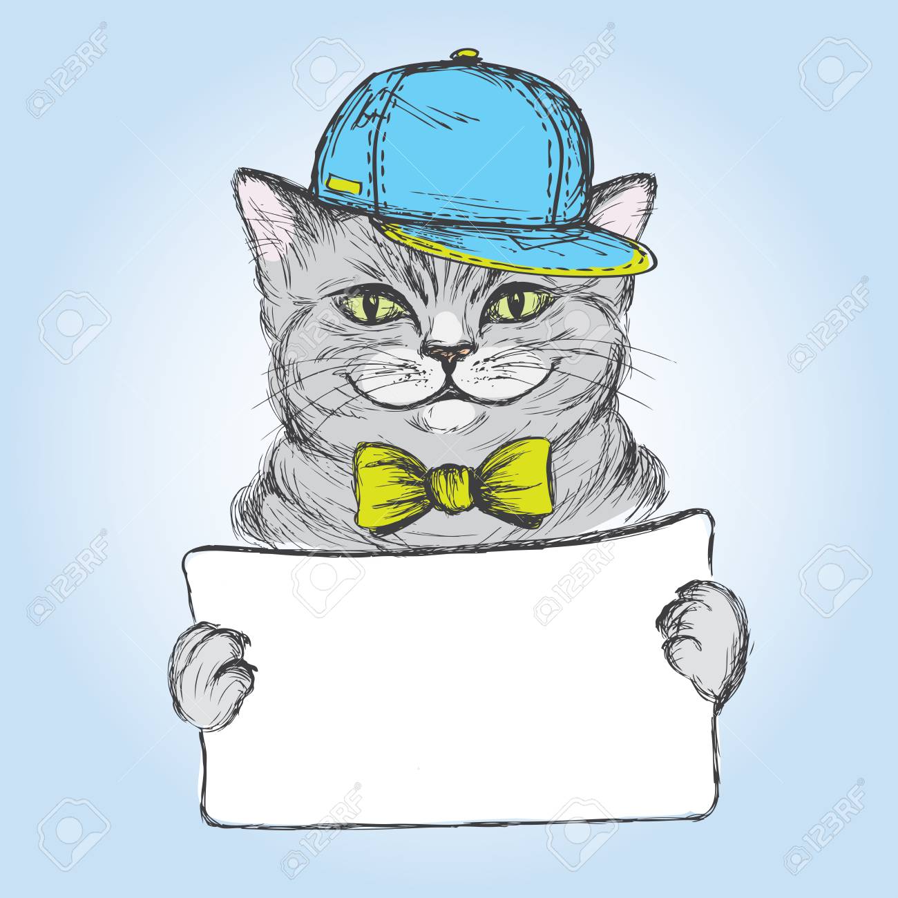 cat with a cap
