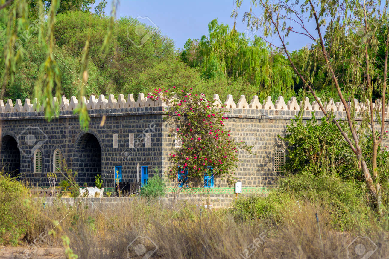 etiam-dictum-ipsum-a-felis