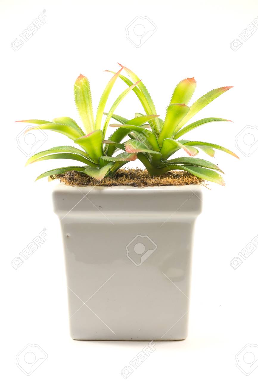 Artificial Tree For Home Decoration