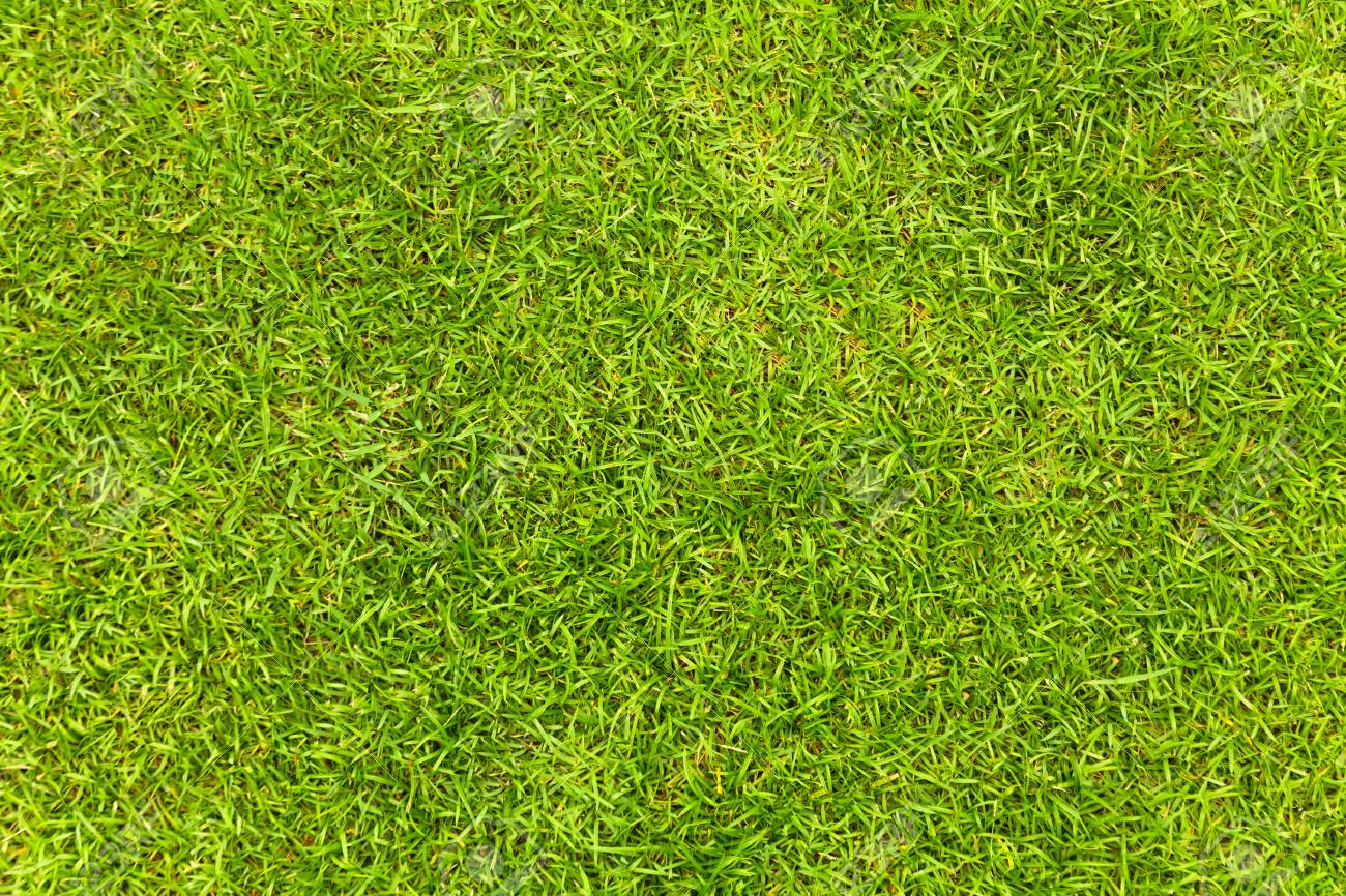 grass aerial texture green grass stock photo top view of natural green grass texture aerial park view of green grass texture park grass aerial texture green grass stock photo top view of natural green grass texture aerial park view of green grass texture park