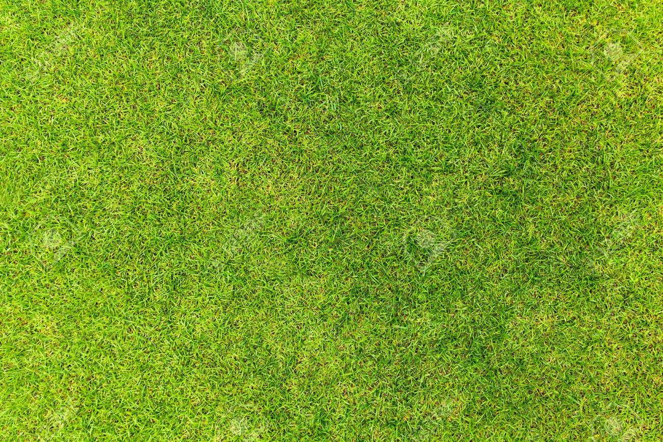 Top View Of Natural Green Grass Texture Aerial View Of Park Stock