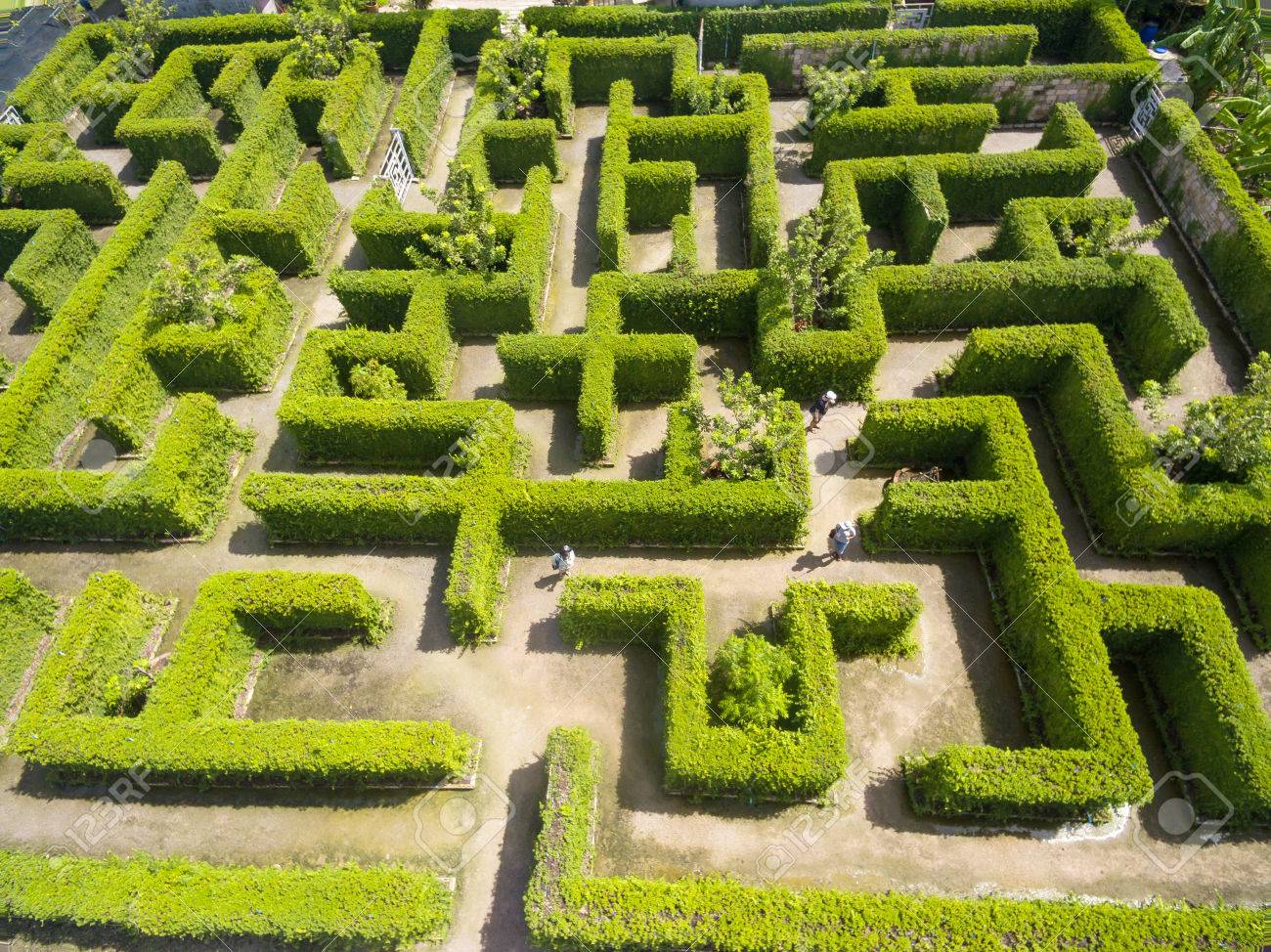 Aerial View Of Green Maze Gardenの写真素材・画像素材 Image 83568501