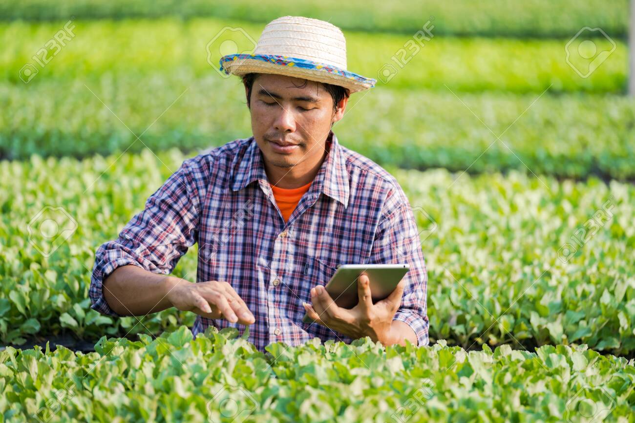 asian farmer hat
