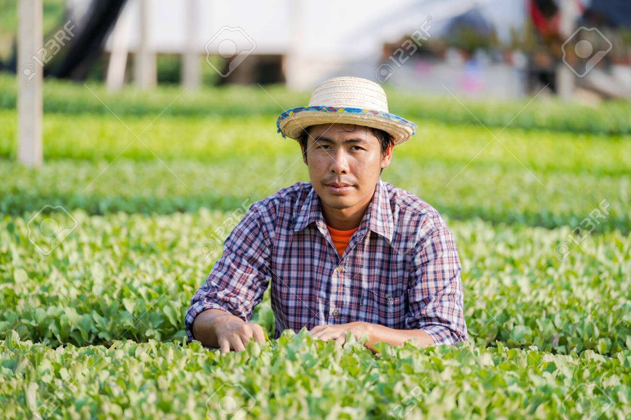 asian farmer hat