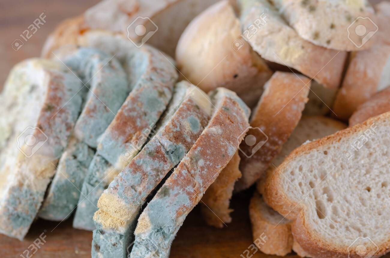 Moldy Bread Slices On Wooden Cutting Board Moldy Inedible Food Stock Photo Picture And Royalty Free Image Image