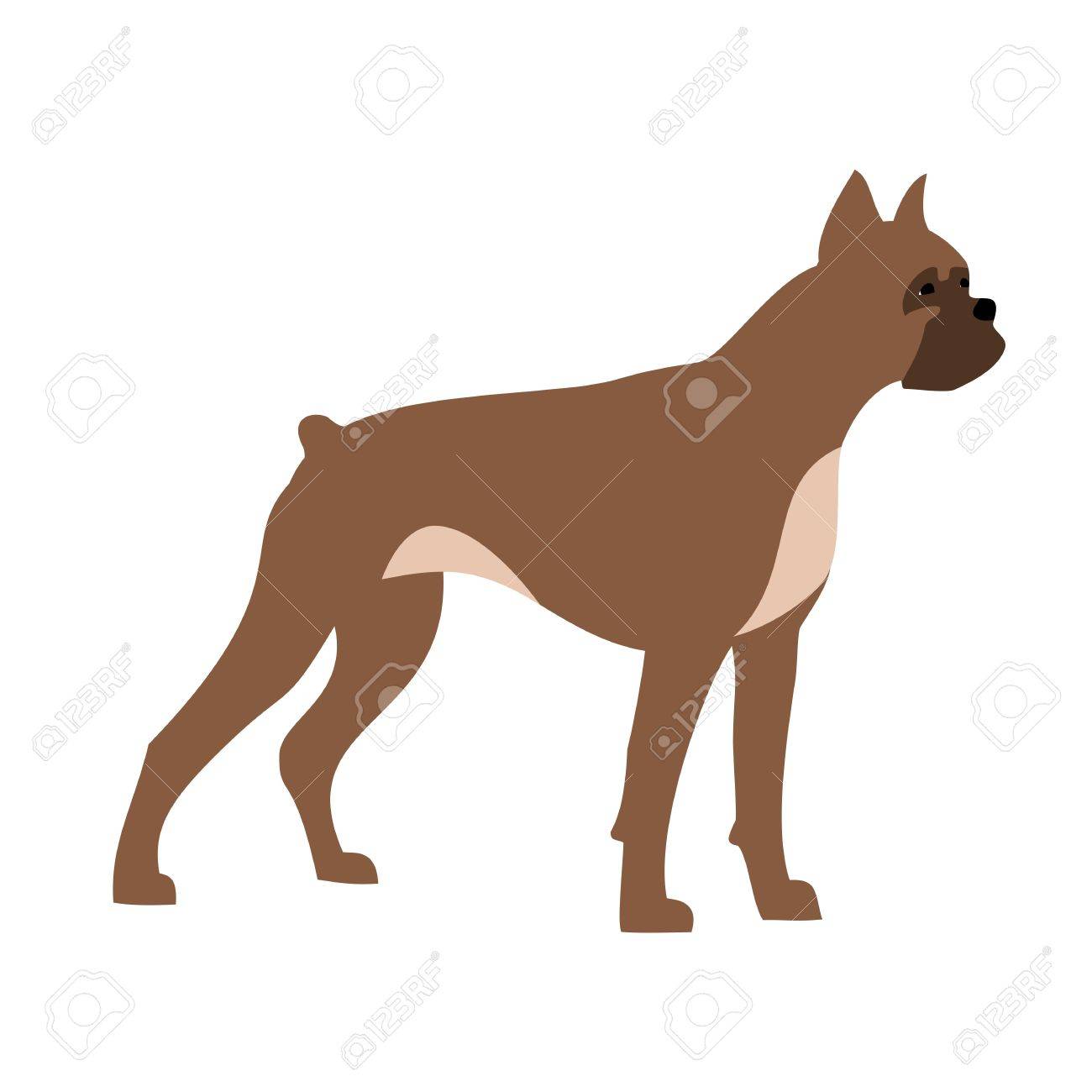 ボクサー犬のイラスト素材 ベクタ Image ボクサー犬のイラスト素材 ベクタ Image