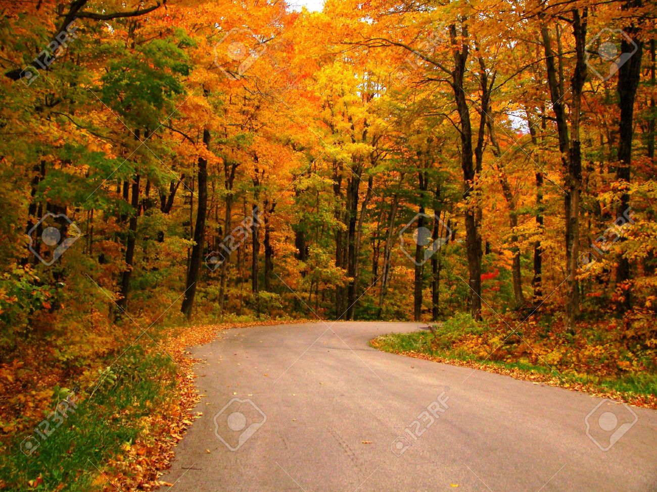 Autumn Country Road