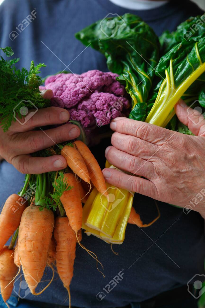 Older man with an armful of fresh Swiss chard, carrots and cauliflower from a farmers market - 141537933 Older man with an armful of fresh Swiss chard, carrots and cauliflower from a farmers market - 141537933
