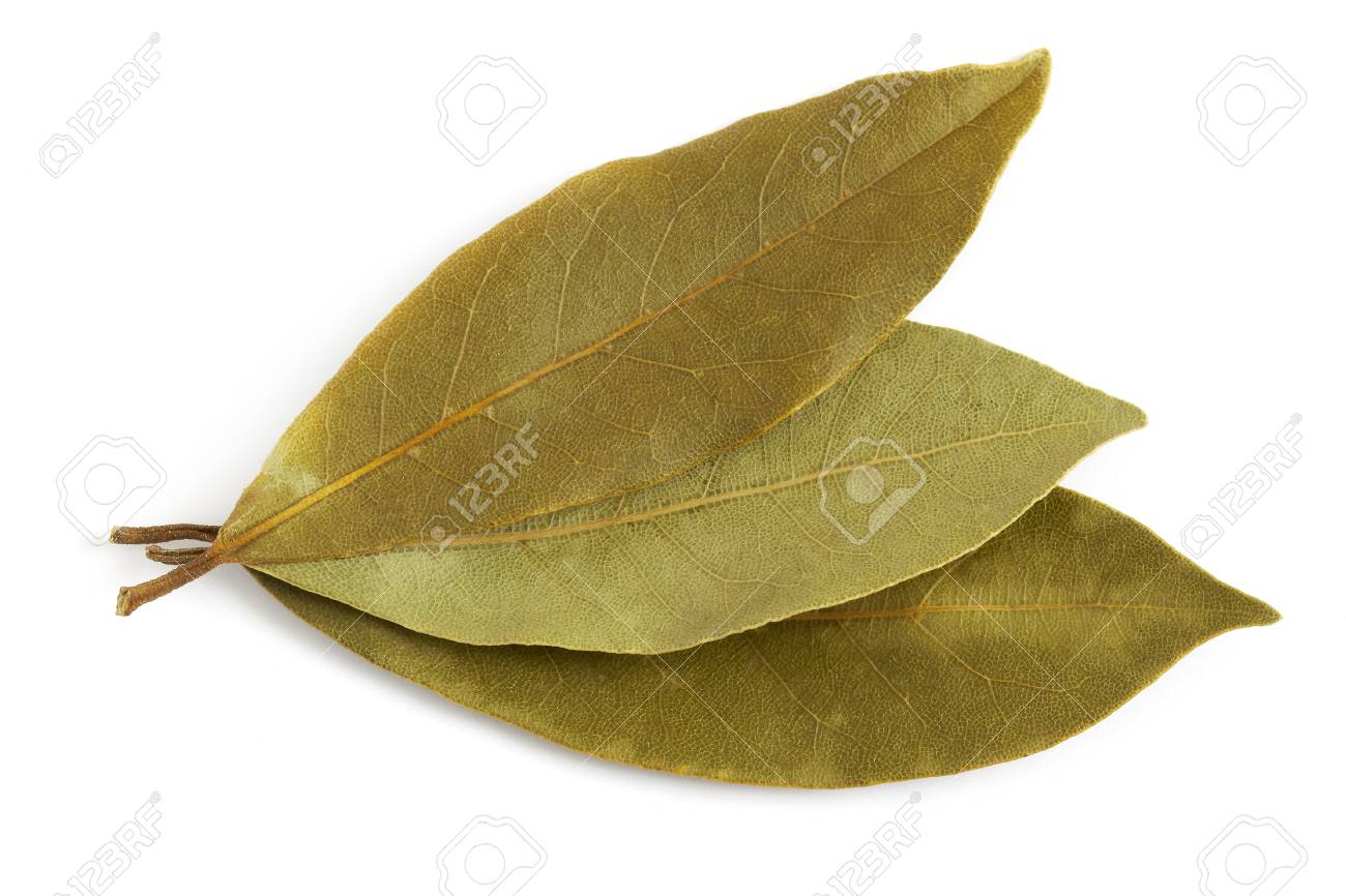 How to Dry Bay Leaves pictures picture How to Dry Bay Leaves