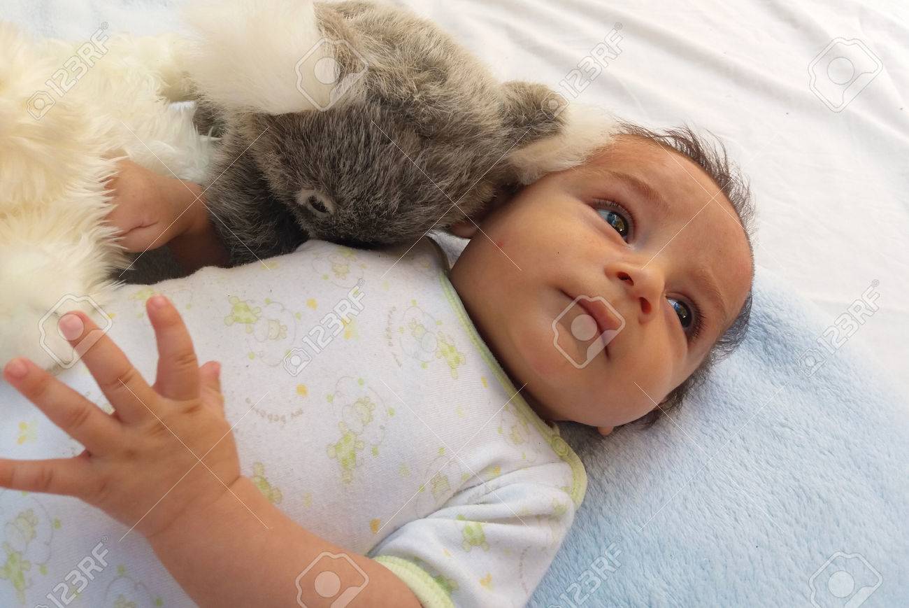 2 ヶ月男の子のおもちゃコアラと子犬と遊ぶ の写真素材 画像素材 Image