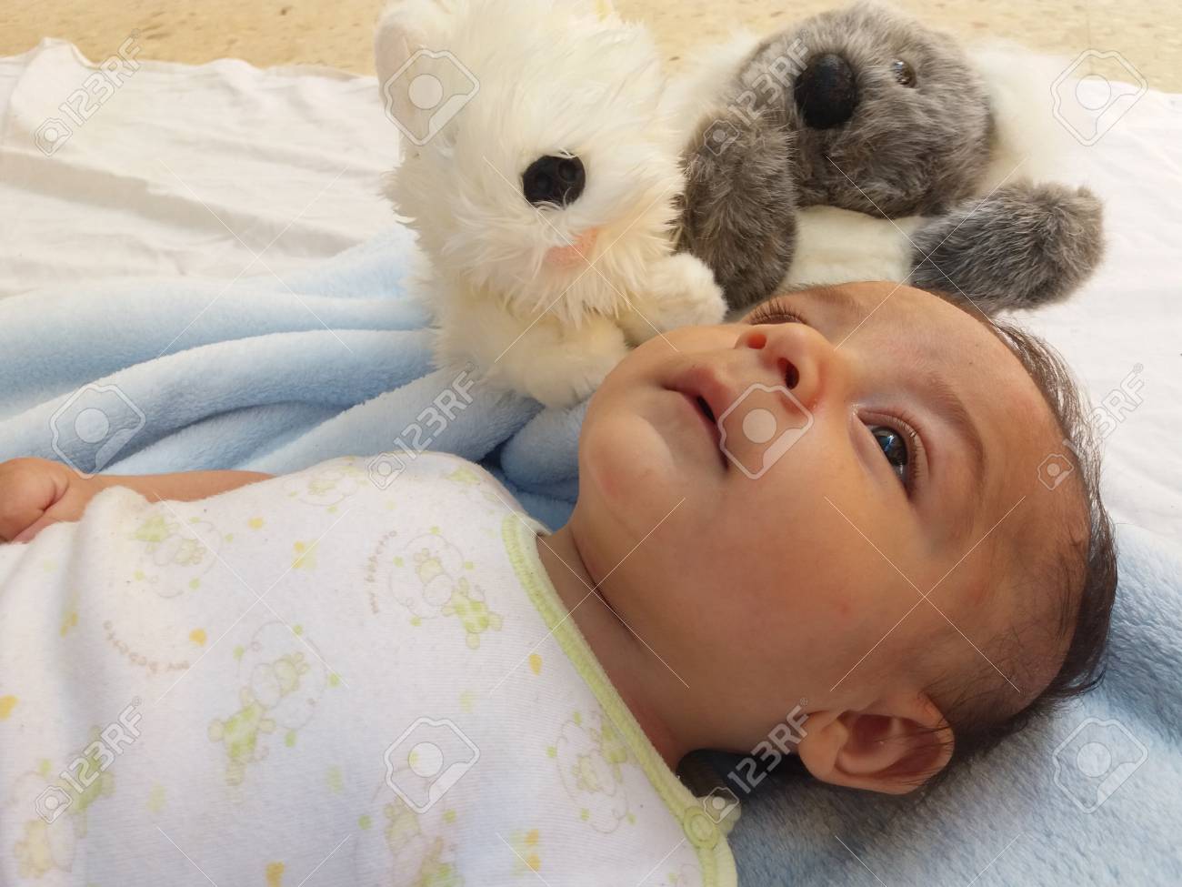 2 ヶ月男の子のおもちゃコアラと子犬と遊ぶ の写真素材 画像素材 Image