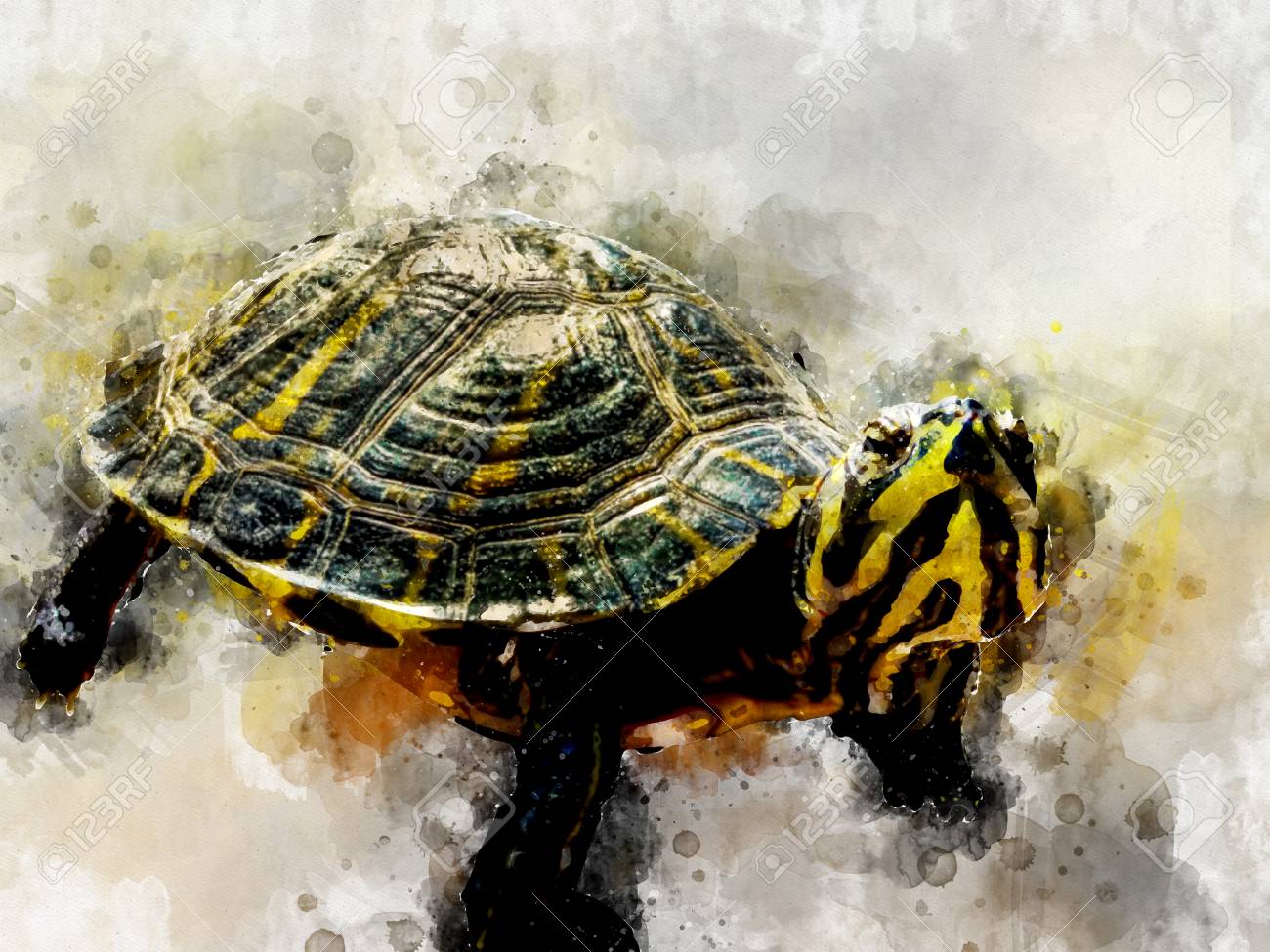 digitally created watercolor efect