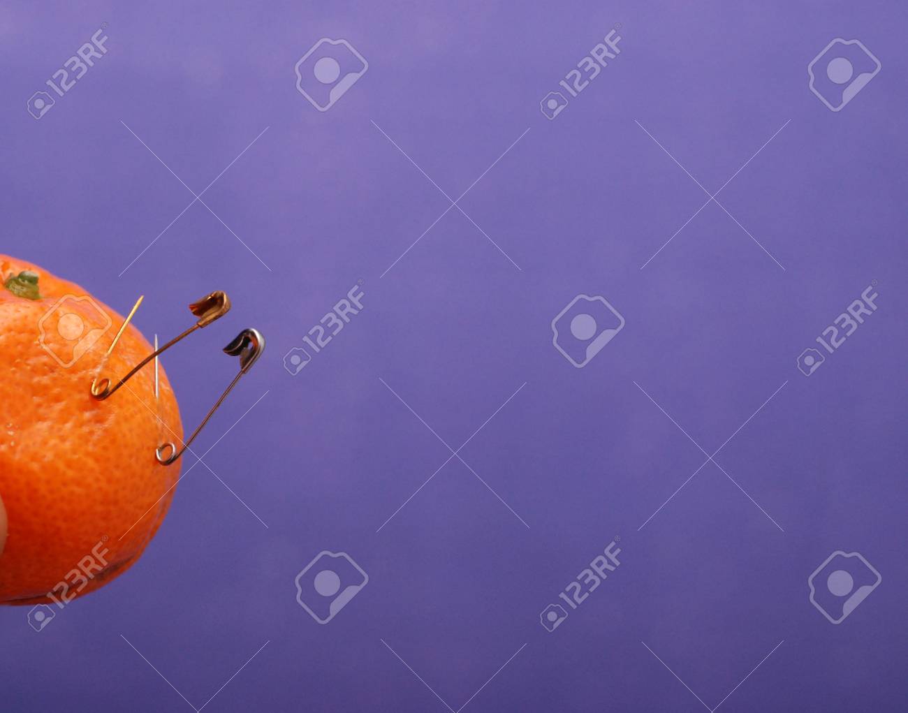 みかん肌に安全ピン の写真素材 画像素材 Image